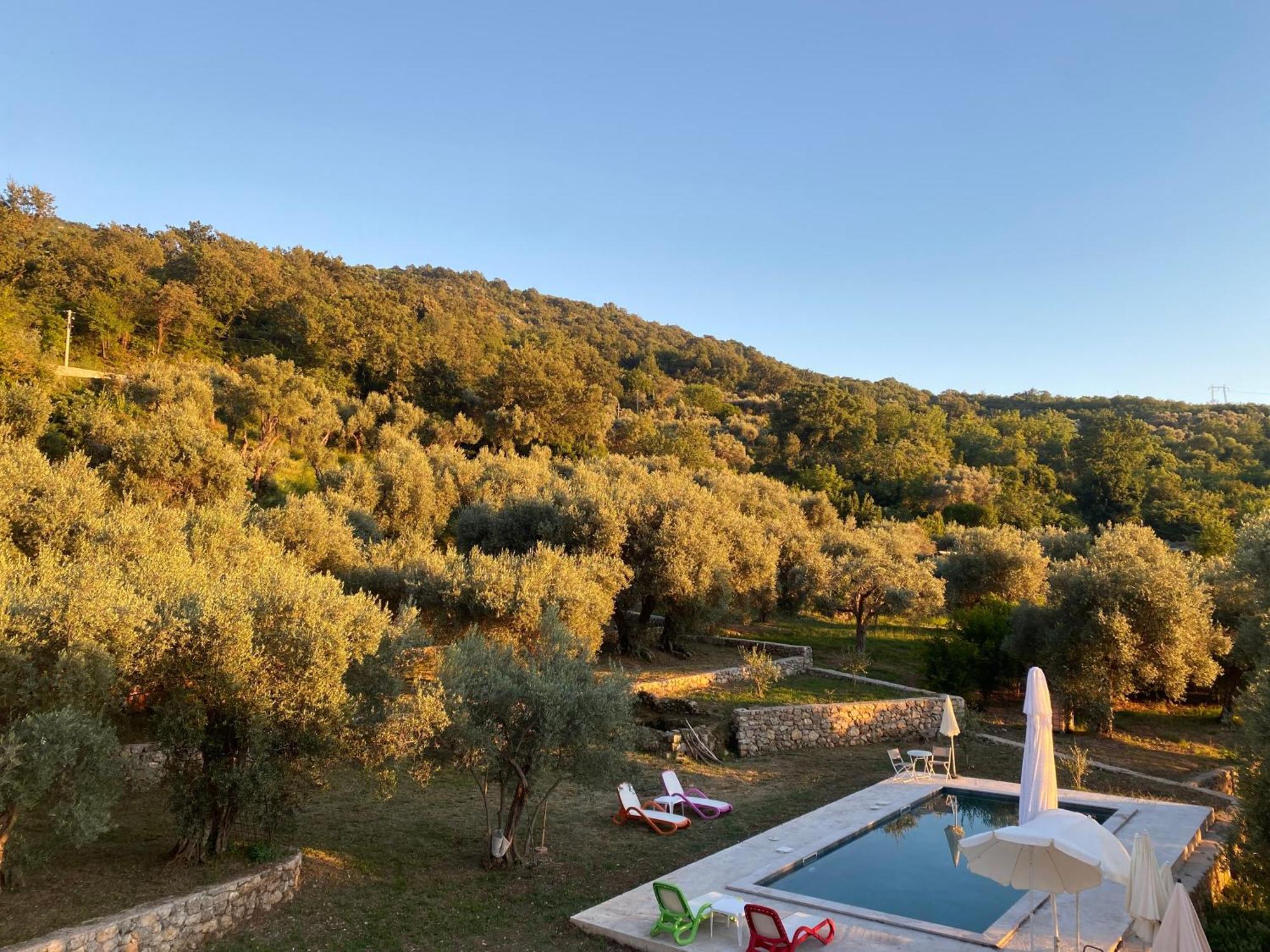 Vila Family House Giardino