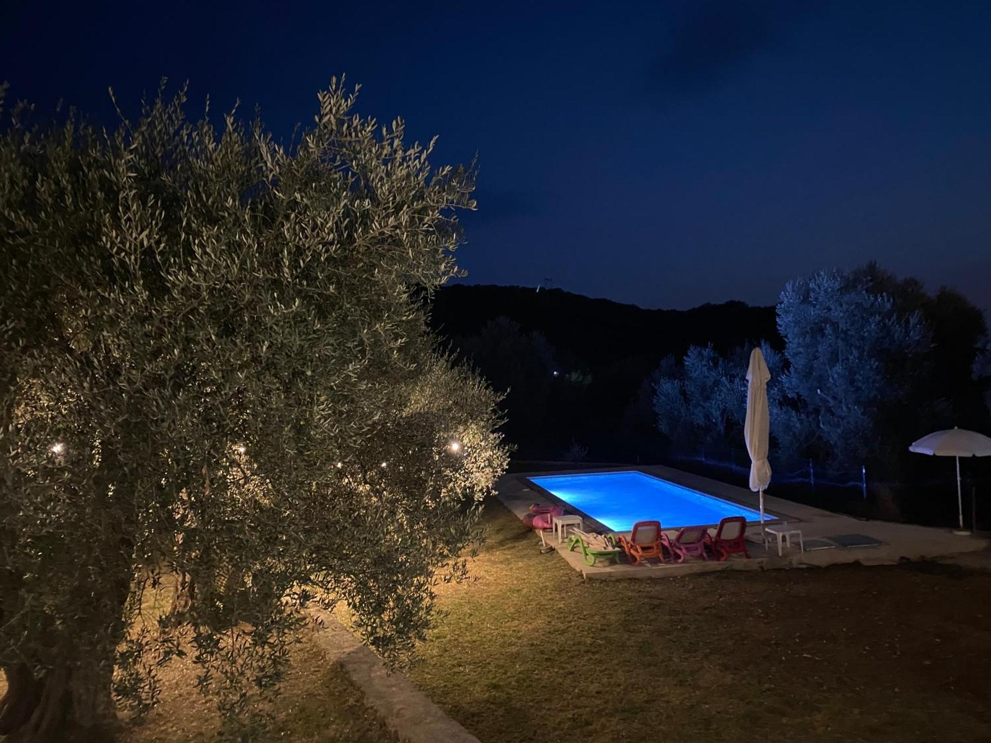 Family House Giardino * Bar