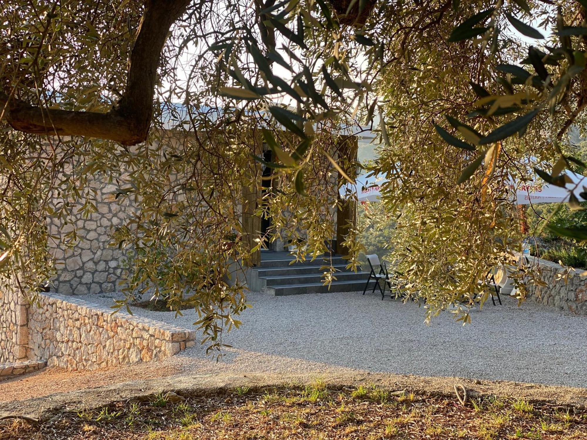 Vila Family House Giardino